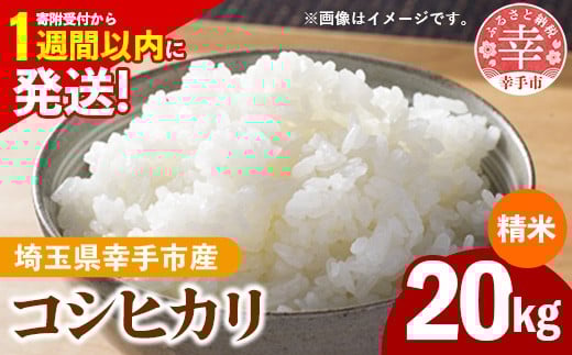 令和7年産 幸手市産 コシヒカリ 白米20kg 色彩選別済 White Rice-  お米 米 こしひかり 精米 20kg 埼玉県 幸手市