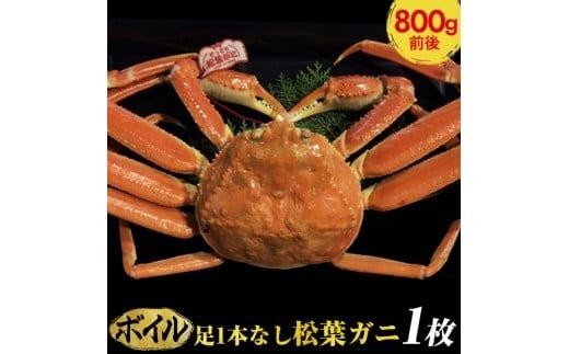 ＜10/1～寄附額改定＞【ボイル】足1本なし　訳あり　松葉ガニ　大1枚（800g前後）【着日指定不可】※2025年11月上旬～2026年3月下旬頃に順次発送予定《かに カニ 蟹》