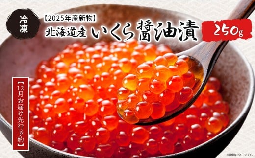 【12月お届け先行予約】【2025年産新物】北海道産 いくら醤油漬（冷凍）250g 【 ふるさと納税 人気 おすすめ ランキング いくら イクラ いくら醤油 いくら醤油漬け イクラ醤油 イクラ醤油漬け 醤油漬 冷凍 贈答 贈り物 ギフト お祝い 鮭 さけ サケ 北海道産 オホーツク 北海道 網走市 送料無料 】 ABAB006