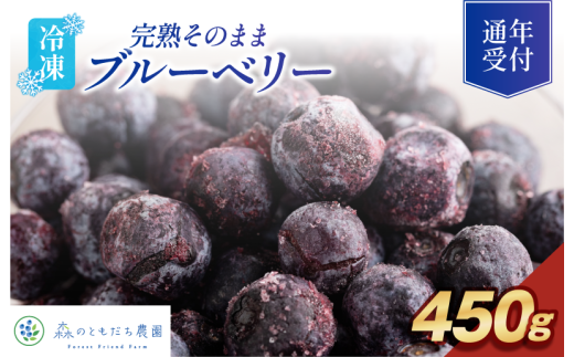 森のともだち農園　冷凍ブルーベリー（スタンディングパック）１５０ｇ×３パック【V003270P3】