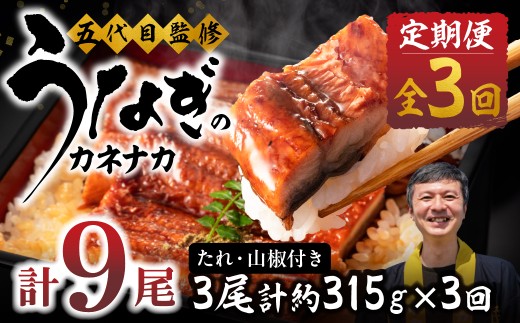 【3回 定期便】国産若うなぎ 3尾 老舗 国産うなぎ セット 詰め合わせ 蒲焼 ウナギ 3尾 うなぎ 鰻 ウナギ unagi 土用 丑の日 国産 国産うなぎ 若うなぎ カネナカ うなぎのカネナカ 蒲焼 タレ付 長焼 お祝い 誕生日 お歳暮 お中元 高級 プレゼント 鰻 うなぎ ウナギ ギフト