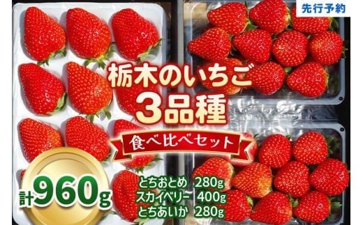 【2月以降発送】いちごの贅沢！栃木の3品種食べ比べセット 960g 澳原いちご農園  | いちご 苺 イチゴ フルーツ 果物 産地直送 栃木県産