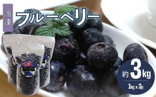 【ブルーベリー（冷凍）3kg】　高知県 佐川町 果物 フルーツ 国産  冷凍ブルーベリー 常備果物　＜４～６ヶ月程度で発送予定（申込状況により遅れる場合があります）＞