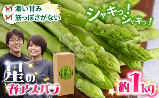 【2026年3月～発送】【数量限定】甘い！柔らかい！【星のアスパラ】厳選 グリーン アスパラガス 1kg / アスパラ あすぱら 厳選 あすぱらがす 採れたて 新鮮 旬 産地直送 野菜 3L・2L・L・Mサイズ  ミックス / 南島原市 / ほしのYA [SEY001] 2100867 - 長崎県南島原市