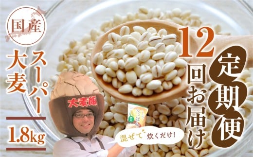 国産スーパー 大麦 12回定期便 （1.8kg × 12）計21.6kg 月に1回お届け 食物繊維 たっぷり 大麦 麦 麦ごはん 麦味噌 麦みそ 混ぜて炊くだけ 雑穀米 健康 定期便 12回 愛知県 豊橋市