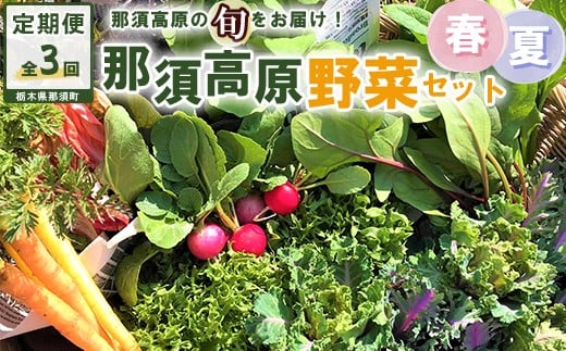 【3か月定期便】那須ブランド 春夏の那須高原野菜セット ｜ 野菜 お野菜 新鮮 詰め合わせ やさい みずみずしい 美味しい 自然 栃木県 那須町〔D-60〕※北海道・沖縄・離島への配送不可 ※2026年6月上旬～8月下旬頃に順次発送予定 1120946 - 栃木県那須町