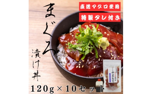 ＜直送マグロ使用＞まぐろパック　特製漬けタレ付き　120g×10パック【1609734】 2163615 - 宮城県宮城県庁