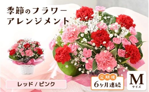 定期便 ≪6ヶ月連続お届け≫ 選べるカラー 季節のフラワーアレンジメント M (レッド・ピンク)【お花 フラワー アレジメント 花束 ギフト 生花 プレゼント 花束 花 記念日 敬老の日 お祝い】 [G-20701_01]  2286560 - 福井県坂井市