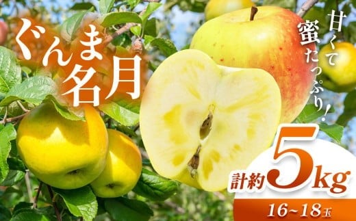 [先行予約][寄附金額改定しました!]信州産 塩尻エールりんご!果汁たっぷり ぐんま名月 約5kg( 16 ~ 18 玉)[10月中旬頃〜発送予定]| 果物 くだもの フルーツ 林檎 りんご リンゴ ぐんま名月 果実 アップル 長野県 塩尻市