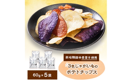 3色ポテトチップス　5袋入り　栽培期間中農薬を使わず自家栽培したじゃがいも使用の自然色のスナック【1550983】