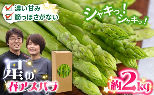 【2026年3月～発送】【数量限定】【星のアスパラ】厳選 グリーン アスパラガス 約2kg / アスパラ アスパラガス 野菜 / 南島原市 / ほしのYA [SEY002]