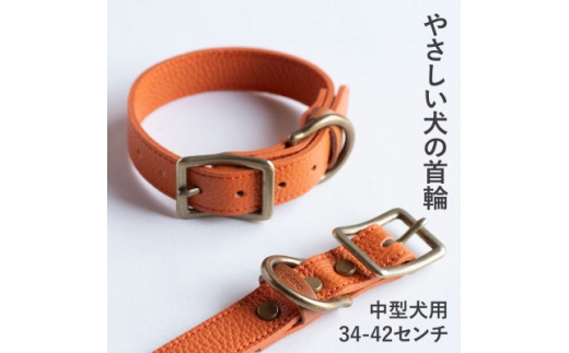 首輪 本革 イタリアンレザー オレンジ 中型犬用 (34-42センチ)ペット用品＜dc-01ss＞【1663249】 2282213 - 大阪府和泉市