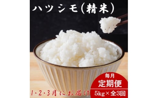 ＜発送月固定定期便＞生産者応援!岐阜県産ハツシモ(精米)5kg＜1・2・3月発送＞全3回【4073730】