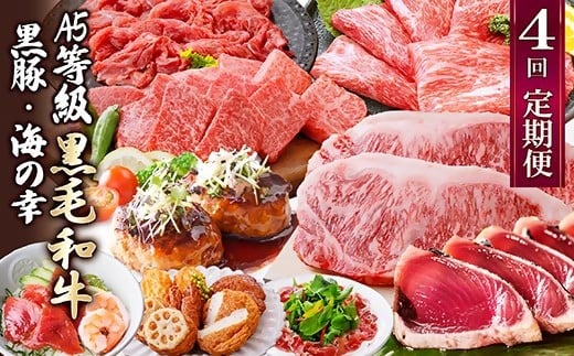 定期便(4回配送)黒毛和牛&黒豚・かつお・さつまあげ NN-0040_ 肉 お肉 牛肉 焼肉 ハンバーグ 切り落とし 薩摩揚げ さつま揚げ サーロイン ステーキ 鰹 生ハム 人気 おすすめ 送料無料 贈答 【1166778】