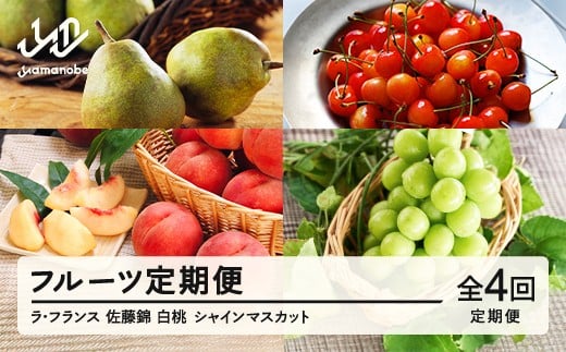 【先行予約】【秋始まり】フルーツ 定期便 全4回 2025年産秋始まり ラ・フランス さくらんぼ 佐藤錦 もも 白桃 ぶどう シャインマスカット 果物 山形県産 送料無料 ※沖縄・離島への配送不可 mm-ft4yz