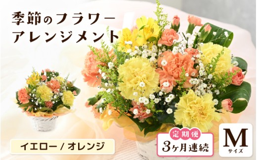 定期便 ≪3ヶ月連続お届け≫ 選べるカラー 季節のフラワーアレンジメント M (イエロー・オレンジ) 【お花 フラワー アレジメント 花束 ギフト 生花 プレゼント 花束 花 記念日 敬老の日 お祝い】 [C-20701_02]  2286572 - 福井県坂井市