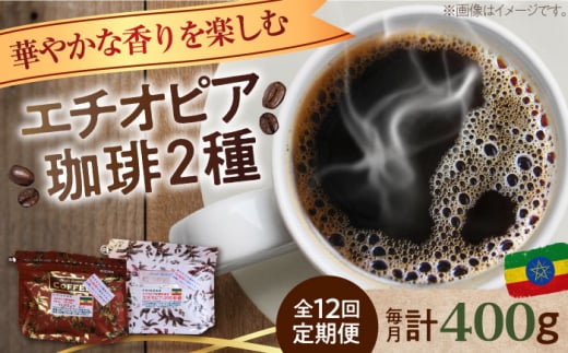 【全12回定期便】【粉】「華やかな香りを楽しむ」コーヒーセット 200g×2種江田島市/Coffee Roast Sereno [XBE056-2] コーヒー こーひー 珈琲 豆 粉 本格 飲料 深煎り 中深煎り 中煎り ブレンド セット 詰め合わせ 自家焙煎 広島県産 キャンプ アウトドア ギフト 人気 送料無料  珈琲 珈琲豆 カフェ 喫茶店