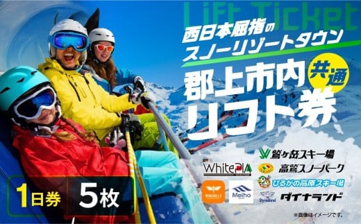 郡上市内スキー場リフト1日券(5枚) カタログギフト チケット  その他 100000円 G0134c