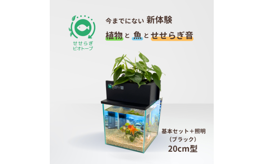 せせらぎビオトープ　20cm型基本＋照明セット