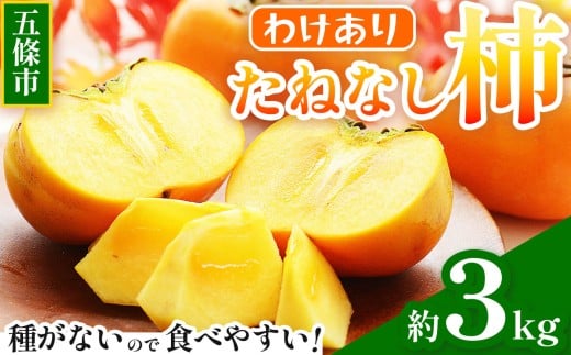 わけあり たねなし柿 約3kg | フルーツ くだもの 果物 柿 かき たねなし わけあり自宅用 家庭用 デザート 人気 国産 産地直送 奈良県 五條市