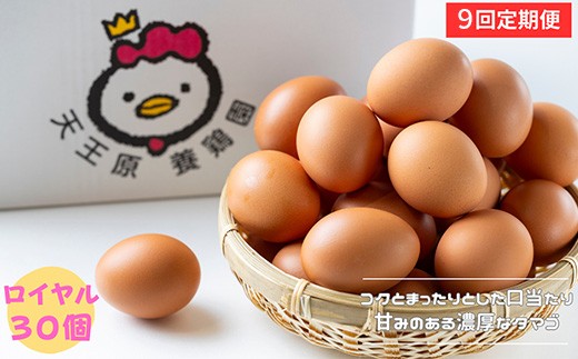 【定期便】9回定期 【天王原のたまご】 ロイヤル卵 30個入り  定期便 たまご 卵