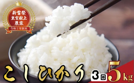 令和7年産 コシヒカリ 白米 3ヵ月連続でお届け!! 定期便 5kg × 3回 15kg お米 白米 精米 新米 コシヒカリ 産地直送 スピード発送 ごはん ご飯 高知県産 弁当 おにぎり 料理 新嘗祭皇室献上米 令和7年 R7年 高知県安芸市