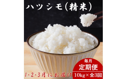 ＜発送月固定定期便＞生産者応援!岐阜県産ハツシモ(精米)10kg＜1・2・3月発送＞全3回【4073157】 2269242 - 岐阜県羽島市