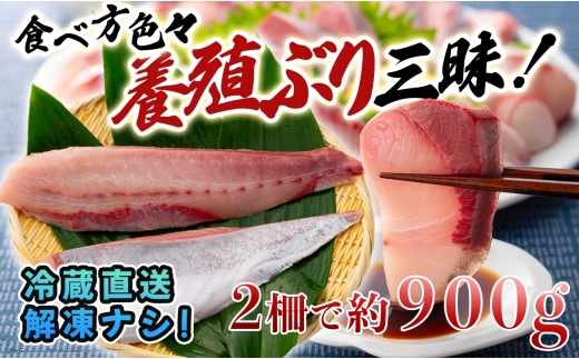 【高知県 大月町産】うみのファームぶり（柵２本セット）