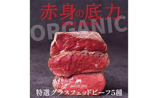 国産グラスフェッドビーフ 特選詰め合わせ 牛肉 赤身 赤身肉 バーベキュー BBQ 焼き肉 牛 ビーフ 健康 F6P-2934 2302774 - 石川県加賀市