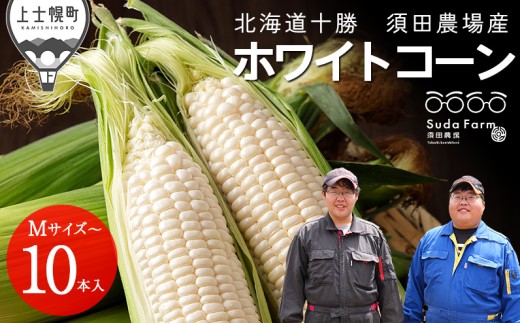 2026年分 先行予約 北海道産 ホワイトコーン 計10本 北海道 上士幌町 須田農場 野菜 白い スイートコーン とうもろこし トウモロコシ 産地直送 冷蔵便 ◆2026年08月配送予定 ［013-V60］ ※オンライン申請対応 1340496 - 北海道上士幌町