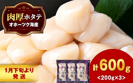 【1月末発送】ほたて 冷凍貝柱 冷凍(15粒前後)200ｇ×3パック お取り寄せ 刺身 《横田水産》