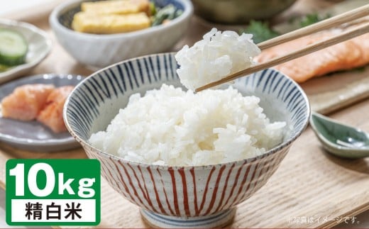 A245 【令和7年産】 ゆめぴりか （ 精白米 ） 栽培期間中農薬化学肥料不使用 真空パック 5kg×2袋 たかすタロファーム 北海道 鷹栖町 米 コメ こめ ご飯 お米 白米