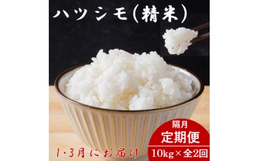 ＜発送月固定定期便＞生産者応援!岐阜県産ハツシモ精米10kg＜1・3月発送＞＜隔月定期便＞全2回【4073154】 2269240 - 岐阜県羽島市