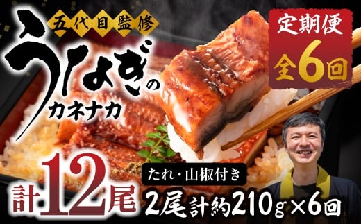 【6回 定期便】国産若うなぎ 2尾 老舗 国産うなぎ セット 詰め合わせ 蒲焼 ウナギ 2尾 うなぎ 鰻 ウナギ unagi 土用 丑の日 国産 国産うなぎ 若うなぎ カネナカ うなぎのカネナカ 蒲焼 タレ付 長焼 お祝い 誕生日 お歳暮 お中元 高級 プレゼント 鰻 うなぎ ウナギ ギフト