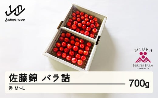《先行予約》2026年 山形県産 令和8年産 さくらんぼ 佐藤錦 バラ詰 700g 秀 M～L  ※沖縄・離島への配送不可 F20A-918 265913 - 山形県山辺町