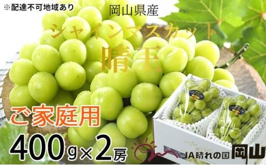 ぶどう 2025年 先行予約 ご家庭用 シャイン マスカット 晴王 約400g×2房 ブドウ 葡萄  岡山県産 国産 フルーツ 果物