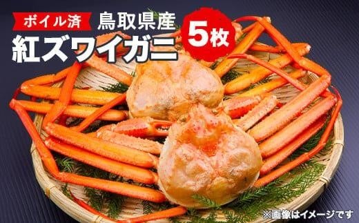 [10/1〜寄附額改定]鳥取県産 ボイル紅ズワイガニ5枚セット※着日指定不可※離島への配送不可※2026年2月上旬〜4月下旬頃に順次発送予定 | 蟹 かに 紅ズワイガニ ボイル タグ付き 鳥取県産 北栄町 おすすめ 人気