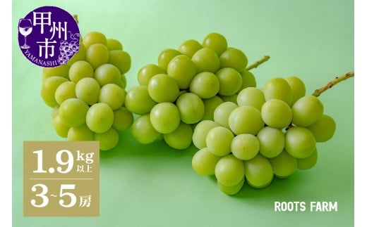 【数量限定】高品質なROOTS FARMシャインマスカット 1.9kg以上 3～5房入【2026年発送】（RO）C1-135 【シャインマスカット 葡萄 ぶどう 令和8年発送 2026年発送 期間限定 先行予約 種なし ブドウ 山梨県産 甲州市 新鮮 高品質 ギフト フルーツ】
