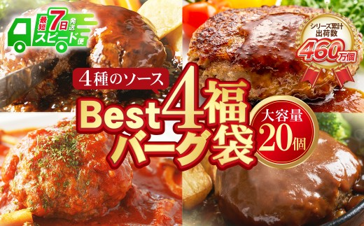 U61-32-02R09 【7営業日以内発送】【シリーズ累計460万個突破！】Best4バーグ ハンバーグ 150g×20個セット（合挽4種 各5個）ハンバーグ 牛肉 豚肉 洋食 ハンバーグ はんばーぐ 大容量 冷凍 人気 ハンバーグ 4種類 手軽 冷凍 3kg おすすめ おかず 肉 ハンバーグ お得 最短