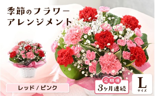 定期便 ≪3ヶ月連続お届け≫ 選べるカラー 季節のフラワーアレンジメント L (レッド・ピンク) 【お花 フラワー アレジメント 花束 ギフト 生花 プレゼント 花束 花 記念日 敬老の日 お祝い】 [E-20701_01]  2286564 - 福井県坂井市