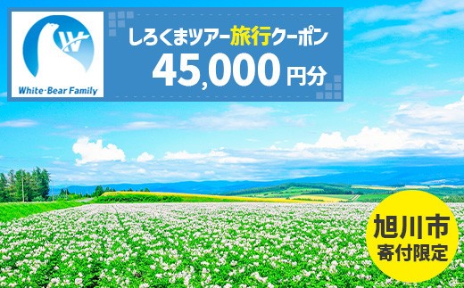 【旭川市】しろくまツアーで利用可能なWEB旅行クーポン (45,000円分)_05440 2282473 - 北海道旭川市