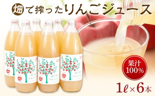 りんご ジュース 6本 × 各1000ml 大町産 箱入り
