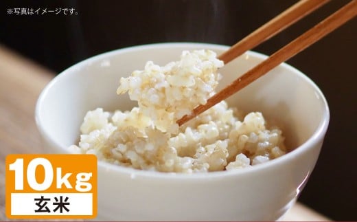 A247 【令和7年産】 ゆめぴりか （ 玄米 ） 栽培期間中農薬化学肥料不使用 真空パック 5kg×2袋 たかすタロファーム 北海道 鷹栖町 米 コメ こめ ご飯 お米