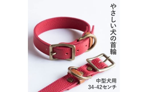 首輪 本革 イタリアンレザー レッド 中型犬用 (34-42センチ)ペット用品＜dc-01ss＞【1663229】