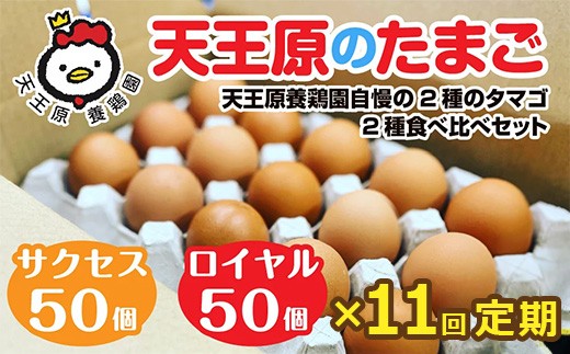 【定期便】11回定期 【天王原のたまご】 サクセス卵50個/ロイヤル卵50個【定期便 11回定期便 セット たまご 卵 玉子 タマゴ 濃厚  ハリ 弾力 ボリューム 甘味 旨味 卵黄 風味 生 コク 甘味 卵かけご飯 卵焼き 目玉焼き オムレツ 茶碗蒸し お菓子作り パンの材料】