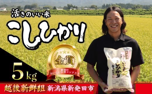 【2026年1月発送】金賞米 コシヒカリ 5kg 令和7年産 こしひかり 精米 白米 ご飯 おにぎり 弁当 新潟県産 新発田産 新潟 米 お米 こめ 受賞 越後新鮮組 新潟県 米 新潟県 新発田市 shinsengumi001_202601 2145649 - 新潟県新発田市