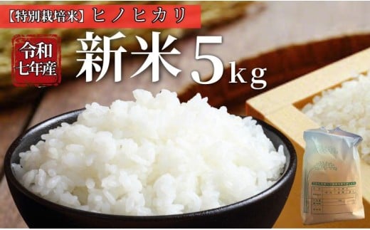 お米 令和7年産 新米 5kg ヒノヒカリ 特別栽培米  先行予約  【2025年11月以降発送】 精米 米 こめ コメ 白米 ごはん ライス 愛媛 伊予市｜C149