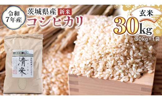 ＜ 新米 ＞ 令和7年産 茨城県産 玄米 コシヒカリ 30kg（30kg×1袋） 清米 キヨシマイ こしひかり 米 コメ こめ 単一米 限定 茨城県産 国産 美味しい お米 おこめ おコメ