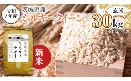 ＜ 新米 ＞ 令和7年産 茨城県産 玄米 ミルキークイーン 30kg （30kg×1袋） 米 コメ こめ 単一米 限定 茨城県産 国産 美味しい お米 おこめ おコメ
