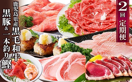 定期便(2回配送)鹿児島県産黒毛和牛・豚肉・一本釣りかつお DD-6004_ 定期便 牛肉 肉 お肉 切り落とし すき焼き すきやき 豚肉 かつお ハンバーグ ロース スライス 豚しゃぶ しゃぶしゃぶ 霜降り 海鮮丼 【1166749】